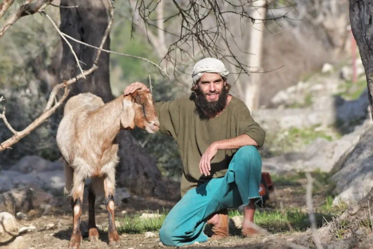 8bea4f54-9283-4345-8195-6a3454561531