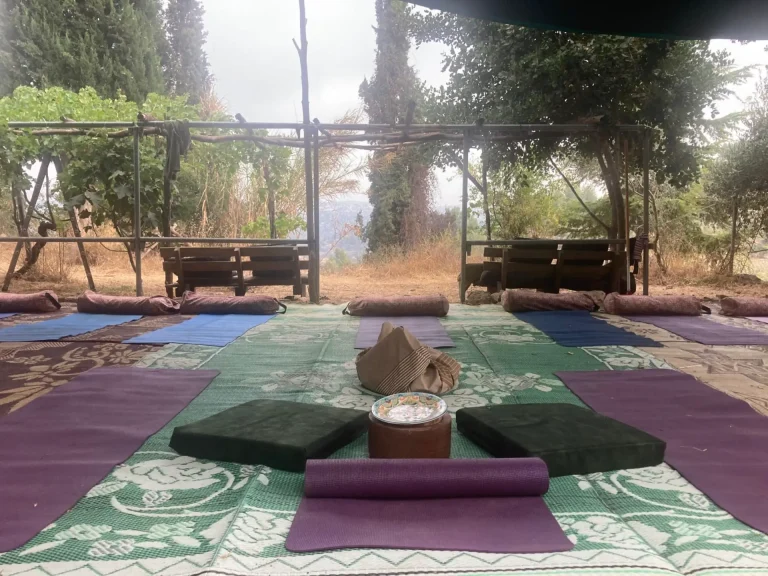 תמונה של WhatsApp‏ 2024-09-01 בשעה 21.24.26_081e7127