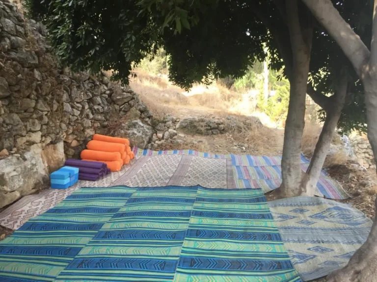 תמונה של WhatsApp‏ 2024-09-01 בשעה 21.24.27_1b9dd4c8