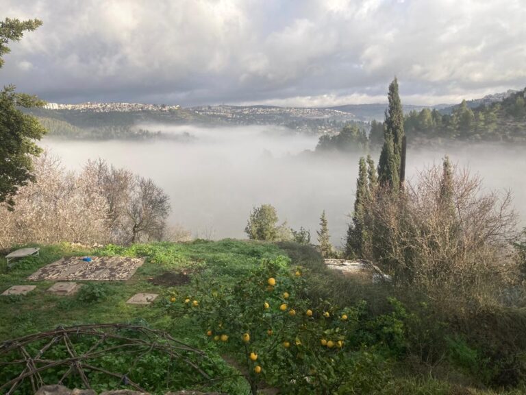 WhatsApp Image 2023-02-27 at 05.41.31