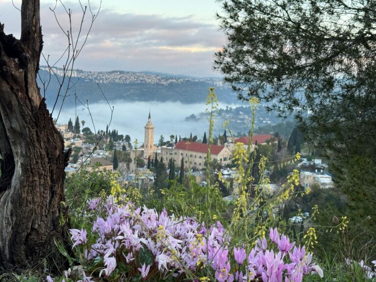 תמונה של WhatsApp‏ 2025-03-23 בשעה 10.54.04_3c8826f5