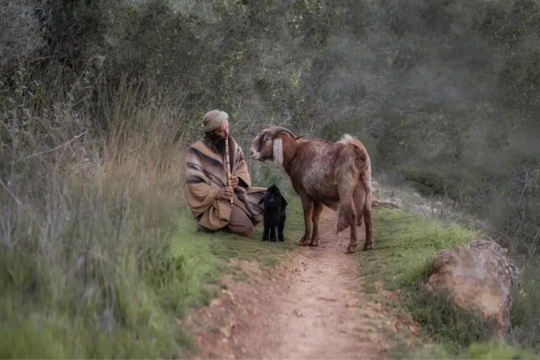 227b22c8-c57b-431d-b1de-79288205aa84