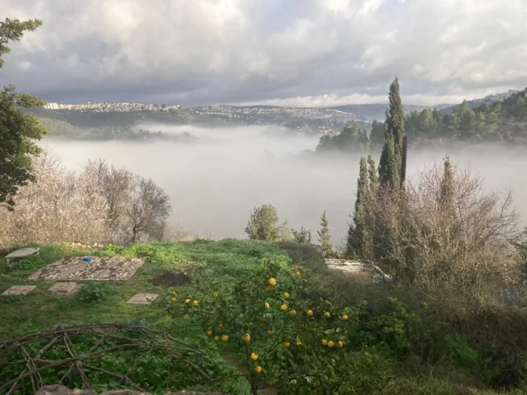 WhatsApp Image 2023-02-27 at 05.41.31