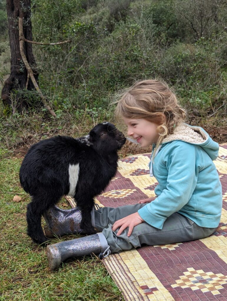 35c04ca1-d714-4298-9237-9d5e6a607d8c