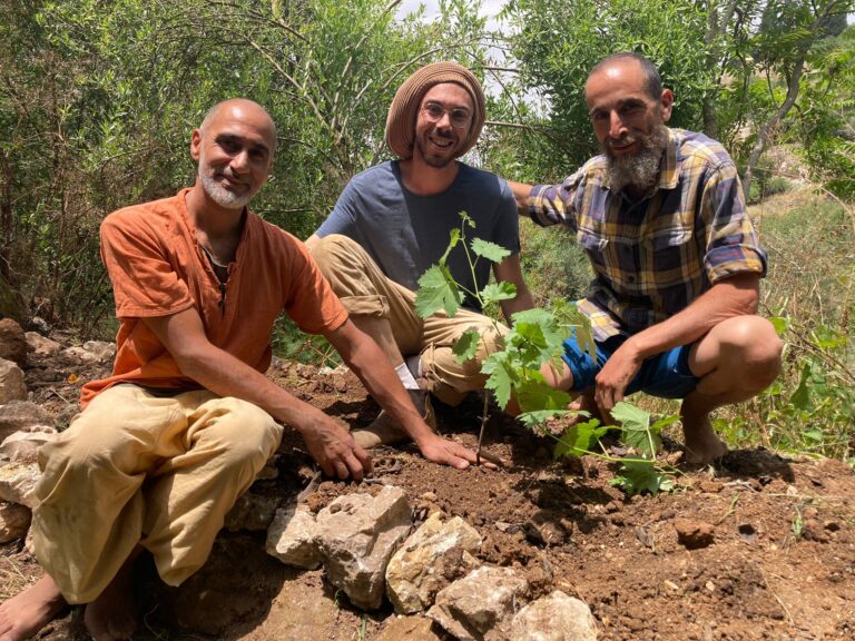 21dac4b4-f81a-427f-89e9-cde3aa968a28