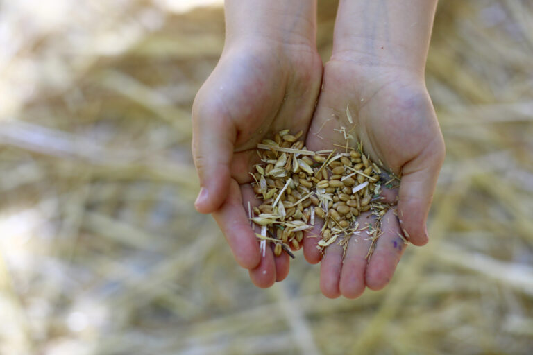 ??? ??? | ?????? ??????