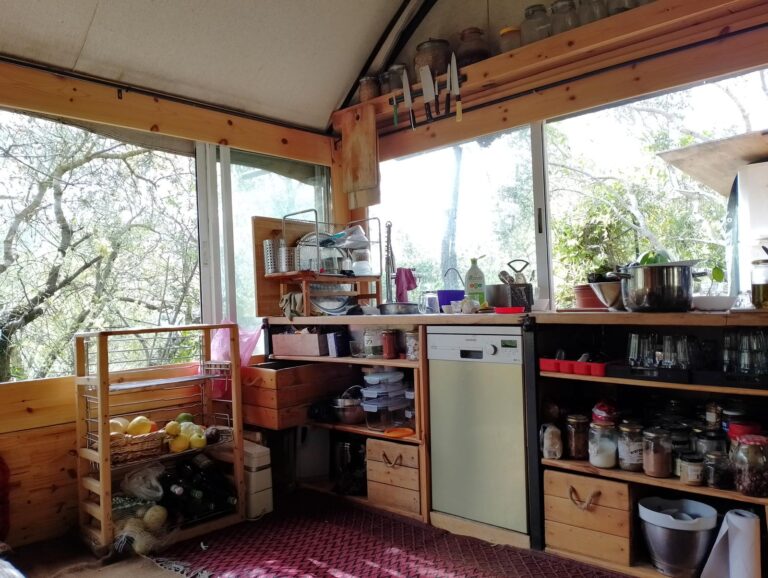 תמונה של WhatsApp‏ 2025-09-30 בשעה 08.47.24_38b566db